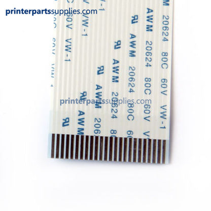 Câble plat 24 broches pour imprimante DX2 de 40 cm de long